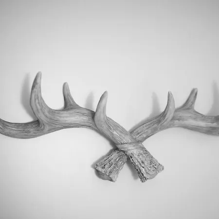 アルペングリュン ホテル