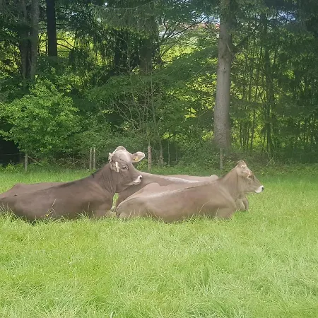 アルペングリュン ホテル フュッセン