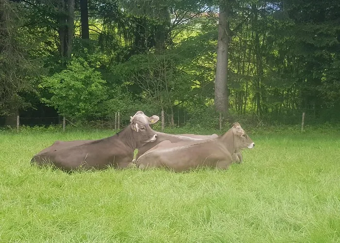Alpengluehn Готель Фюссен